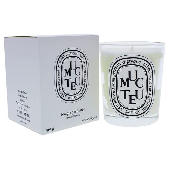 diptyque Accents Diptyque Muguet Scented Candle 65oz9g Poshmark